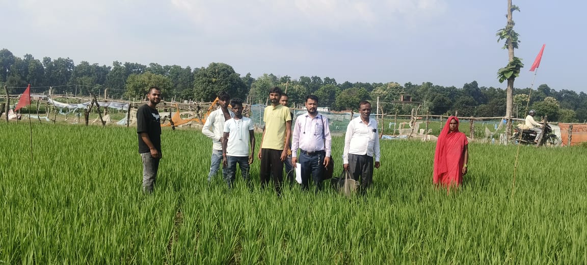 गोंडा में प्रशासनिक कार्रवाई : 2 लाख बकाया पर किसान की जमीन कुर्क, लाल झंडी गाड़ी गई