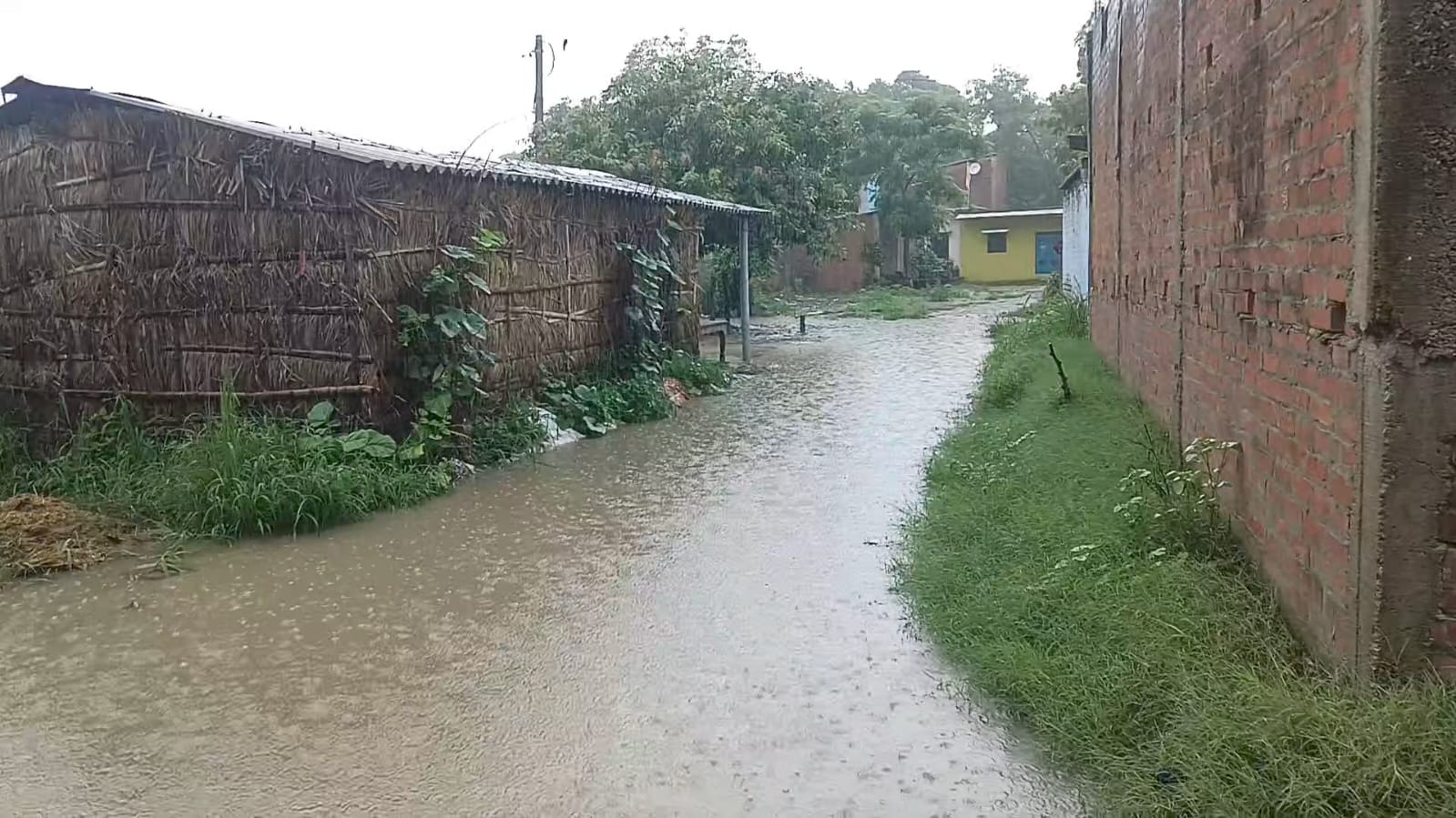 हल्की बारिश बनी मुसीबत, बहादुरा गांव का रास्ता बना तालाब – ग्रामीण परेशान